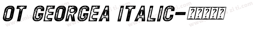 OT GEORGEA Italic字体转换
